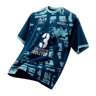 1-CAMIS